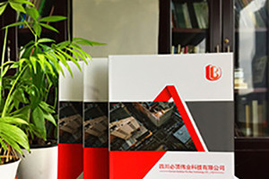 個(gè)性畫冊定制設(shè)計(jì)印刷 畫冊創(chuàng)意設(shè)計(jì)有方法！