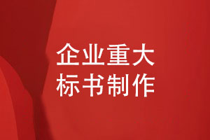 企業(yè)重大標(biāo)書(shū)制作-投標(biāo)項(xiàng)目正規(guī)標(biāo)書(shū)設(shè)計(jì)經(jīng)驗(yàn)