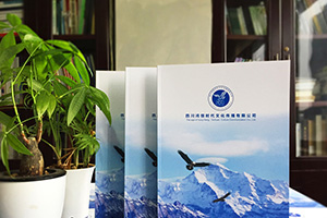 企業(yè)宣傳冊(cè)設(shè)計(jì)的兩大設(shè)計(jì)方向 找到企業(yè)宣傳冊(cè)設(shè)計(jì)的正確方法！