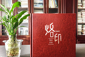 怎樣做出意義深遠(yuǎn)的個(gè)人紀(jì)念冊(cè)，個(gè)人成長(zhǎng)紀(jì)念冊(cè)制作的做法是什么？