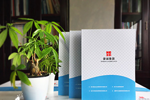 企業(yè)畫冊(cè)設(shè)計(jì)怎么做？畫冊(cè)制作的通用方法思考
