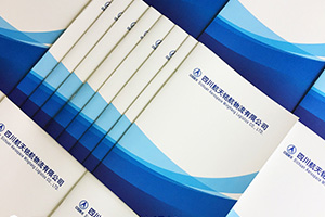 倉儲(chǔ)業(yè)、郵政業(yè)的企業(yè)畫冊(cè)設(shè)計(jì)特點(diǎn) 為制作優(yōu)秀的倉儲(chǔ)運(yùn)輸企業(yè)畫冊(cè)