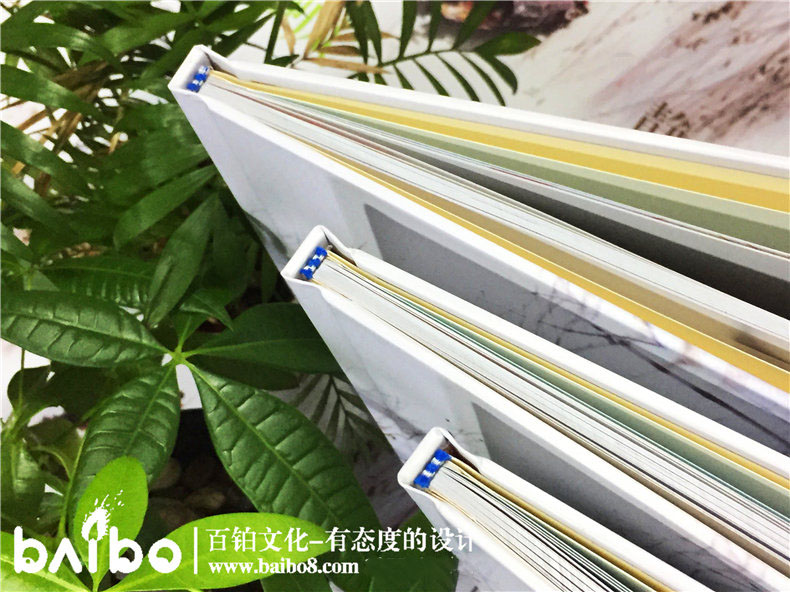 同學(xué)紀念冊設(shè)計重點內(nèi)容有什么