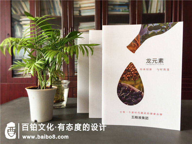 招商畫冊怎么設計